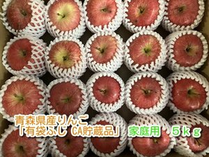 青森県産りんご「有袋ふじ」家庭用 約5kg 【クール便 フルーツキャップ CA貯蔵】