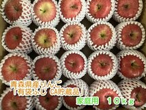 青森県産りんご「有袋ふじ」家庭用 約10kg 【クール便 フルーツキャップ CA貯蔵】_画像1