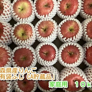 青森県産りんご「有袋ふじ」家庭用 約10kg 【クール便 フルーツキャップ CA貯蔵】の画像1