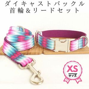 ダイキャストバックル首輪＆リードセット★XS★丈夫★引っ張りに強い★金属製バック