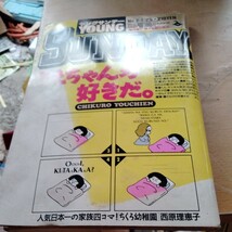 　1991年 古雑誌　アンティーク　レトロ ヤングサンデー　_画像1