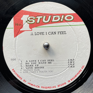 スーパーレア！ 美品 LP /John Holt A Love I Can Feel studio oneの画像3