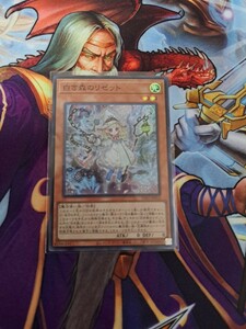 遊戯王　INFO 「 白き森のリゼット スーパー」