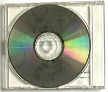 ◆CD 地球瞑想シリーズ／宮下富実夫/ ヒーリング・レイン・フォレスト HEALING RAIN FOREST●1994年 希少 LPR-143 非売品　_画像3