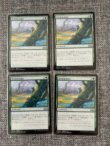 MTG 《豆の木をのぼれ》4枚セット エルドレインの森