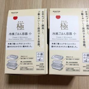 極　冷凍ごはん容器　小盛　4コセット