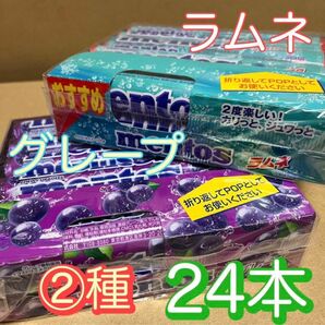 【2種24本】 mentos　メントス　グレープ　と　ラムネ　