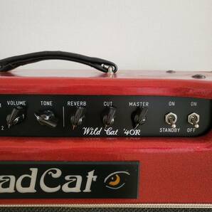 【貴重 サンプソン 在籍期】Badcat Wildcat 40R バッドキャット アンプ Matchless マッチレス Fender フェンダー Marshall マーシャルの画像3