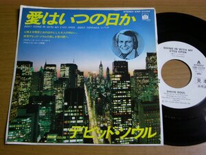 EPu495／【白ラベル】DAVID SOUL デビッドソウル：愛はいつの日か/トパンガ.