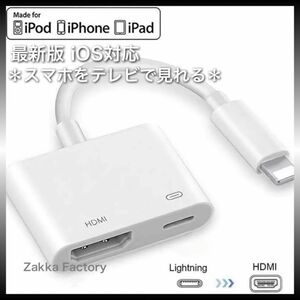 iphone ipad HDMI 変換アダプタ ケーブル テレビ スマホ モニター プロジェクター iPhone13 テレビ接続