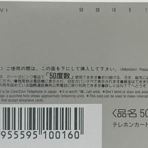 Sその他◇遠峯ありさ（華原朋美) GAL'Sコレクション グラビア テレカ 1枚 未使用◇G22の画像5