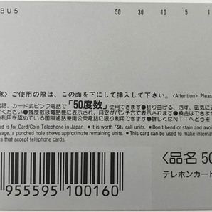 Sその他◇蒲池 幸子(坂井泉水) ’90日本エアシステム キャンペーンガール テレカ 1枚 未使用◇G46の画像5