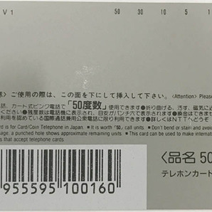 Sその他◇かとうれいこ Concert Tour 1995 グラビア テレカ 1枚 未使用◇G50の画像5