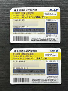 ANA株主優待券　2枚1セット　2024年11月30日日まで　番号通知
