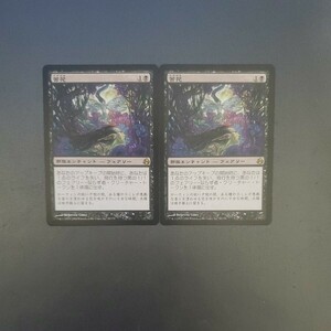 MTG 苦花 MOR 日本語 2枚セット