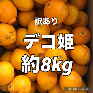 訳あり　デコ姫　約8kg　愛媛県産　商品説明お読みください　