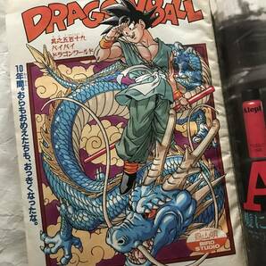 週刊少年ジャンプ DRAGON BALL 最終回巻頭カラー掲載号 1995年#25 6月5日号 ドラゴンボール 鳥山明 スラムダンク BOY 中古雑誌の画像5