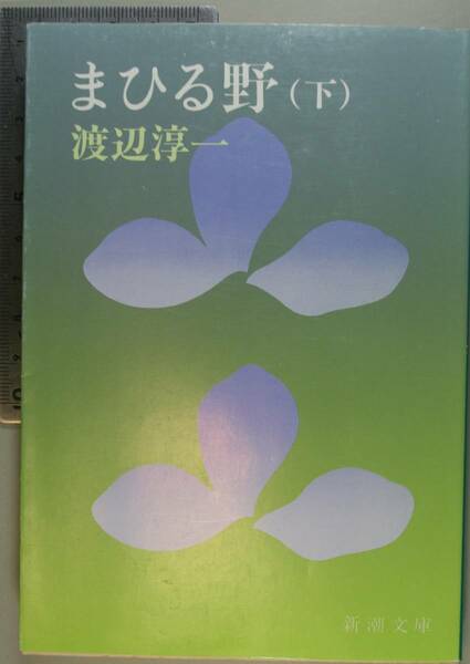 まひる野　下 （新潮文庫　わ－１－７） （改版） 渡辺淳一／著