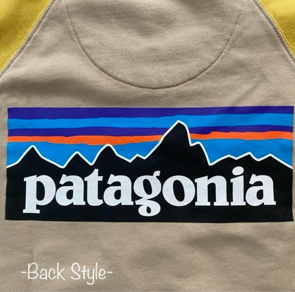 パタゴニア スウェット トレーナー クルーネック ラグランスリーブ メンズS patagonia レディストレーナー