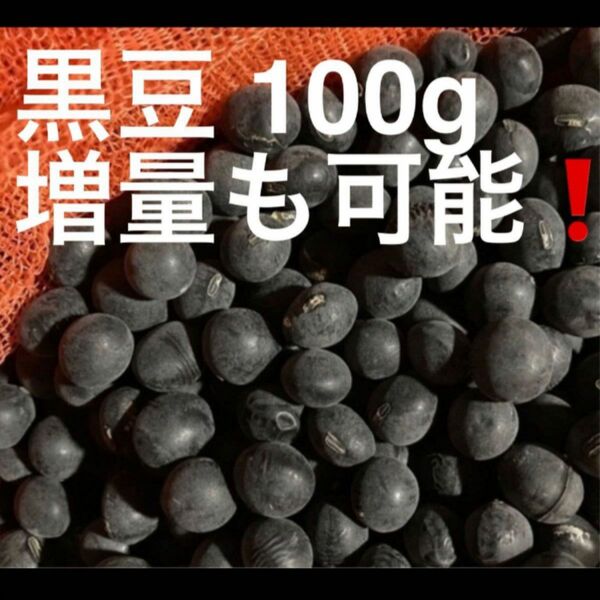 黒大豆　黒豆　100g 2023年産　令和5年