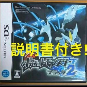 送料無料 ポケットモンスター ブラック2 ニンテンドー DS 黒 ポケモン ブラック Nintendo 任天堂 Pokemon