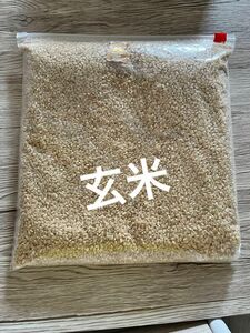 玄米 ななつぼし 北海道産 農薬節減米 お試し 小分け