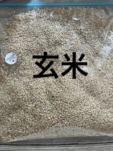 お米 玄米 ななつぼし 小分け 北海道産