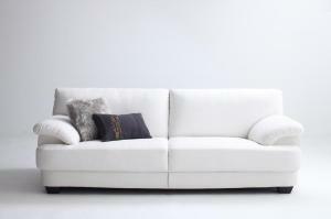  standard sofa design sofa France production feather entering modern design sofa width 175cm