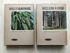 2557 【2冊セット】原色日本樹木図鑑　原色日本羊歯植物図鑑　保育社　昭和37年