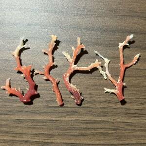 Art hand Auction 《Coral rojo⑧》 Coral rojo Rama de tronco de coral Coral Estatuilla de coral Piezas sueltas Espécimen Concha marina Espécimen Amuleto de coral rojo Amuleto hecho a mano, antiguo, recopilación, ciencia, Naturaleza, otros