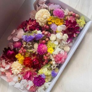 ドライフラワー プリザーブドフラワー 木の実 花材セット ハンドメイド ハーバリウム花材 a