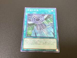 神鳥の来寇 RIRA-JP061 遊戯王OCG RISING RAMPAGE