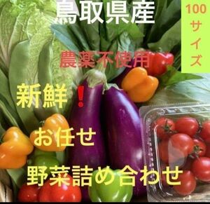 鳥取県産 野菜詰め合わせ 産地直送 100サイズ