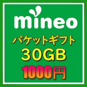 mineo 30GB パケットギフト No14121の画像1