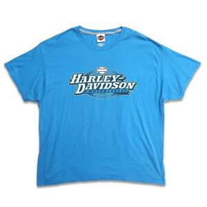 古着 HANES ハーレーダビッドソン HARLEY-DAVIDSON プリントTシャツ ブルー系 表記：XL　gd402183n w40404