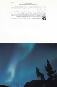 グリーティングカード オオカミ①遠吠え■1枚・無地封筒付き・海外製■野生動物 狼 イヌ科