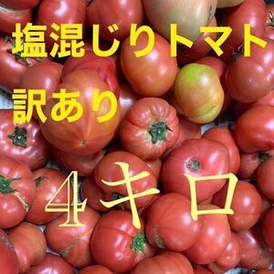  есть перевод супер-скидка!! Kumamoto префектура производство . плата помидор примерно 4kg степень ②