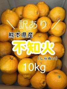 【激安】規格外 不知火、デコポン 10kg 家庭用 熊本県産 ②