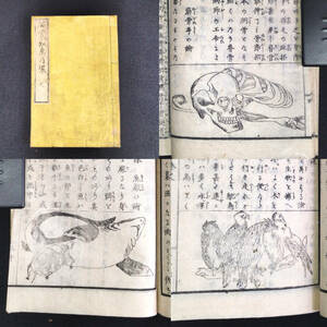 R33 髑髏 玩具 鷹 魚類 絵入【啓蒙 知恵乃環】 於兎子訳述 風俗 資料 明治時代 古書 和書 和本