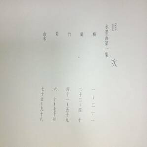 P101 大型 美術本 山本六郎【五鄰菴墨 古篇】36.5×51.5㎝ 揃 帙付き 図録 草花 草木 花鳥 山水 画譜 水墨画 印刷 絵画 骨董 古美術の画像9