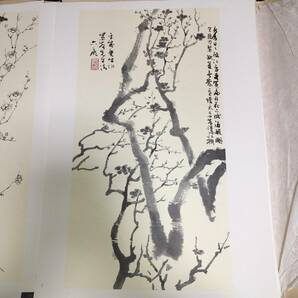 P101 大型 美術本 山本六郎【五鄰菴墨 古篇】36.5×51.5㎝ 揃 帙付き 図録 草花 草木 花鳥 山水 画譜 水墨画 印刷 絵画 骨董 古美術の画像5