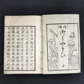 R23 仏教【内佛 御うやまひ】文政12年 江戸時代 絵入 口絵 木版 古書 和書 和本の画像1