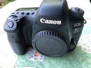 EOS 6D MarkⅡ 本体