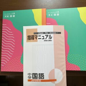 親心書籍株式会社 高校受験対策 ファーストマニュアルA 基礎編【国語】