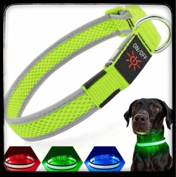 即日発送光る首輪犬散歩夜ライト LED 超 明るいUSB充電式，サイズ調整可
