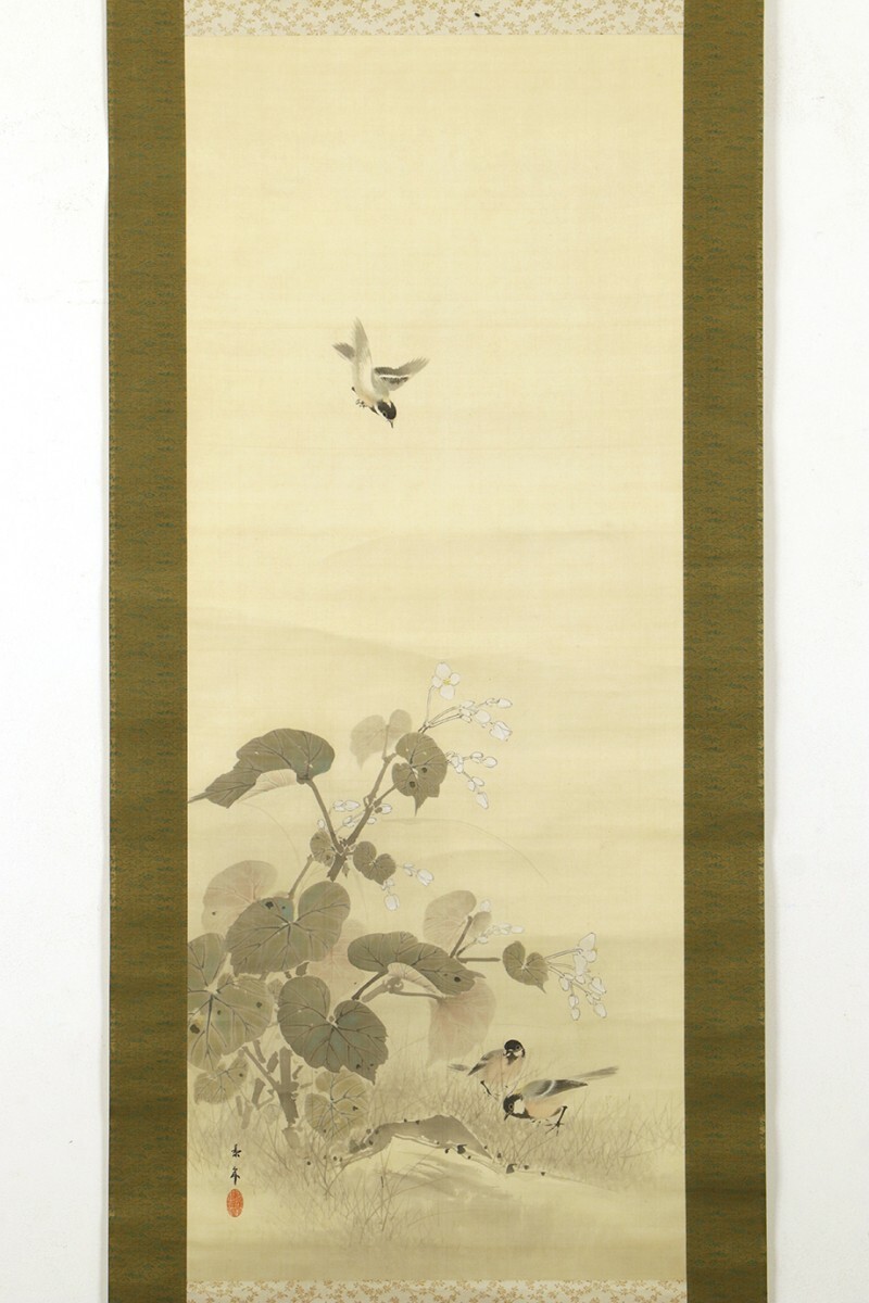 [Trabajo auténtico] Pergamino colgante Kagetoshi Imao, Flores blancas, mar de otoño, y pajaritos, caja doble, 1901, 54 años, pintor japonés, miembro del Instituto de Arte Imperial, cuadro, obra de arte, libro, pergamino colgante