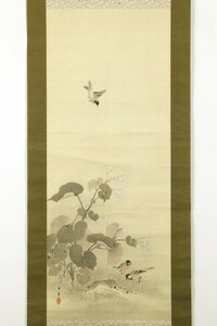 Art hand Auction [정작] 족자 이마오 카게토시, 흰 꽃, 가을바다, 그리고 작은 새들, 이중 상자, 1901, 54세, 일본 화가, 제국 미술 연구소 회원, 그림, 삽화, 책, 족자