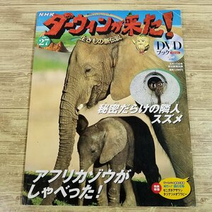 図鑑[NHKダーウィンが来た！　DVDブック27 アフリカゾウ／スズメ] 珍獣 DVD付き【送料180円】