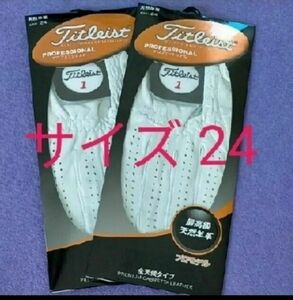 Titleist タイトリスト メンズ ゴルフグローブ プロモデル 全天候型 天然羊革 プロフェッショナル　TG77です。