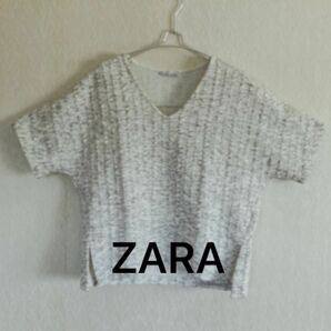 ZARA レディース　半袖　カットソー　Vネック　フリーサイズ